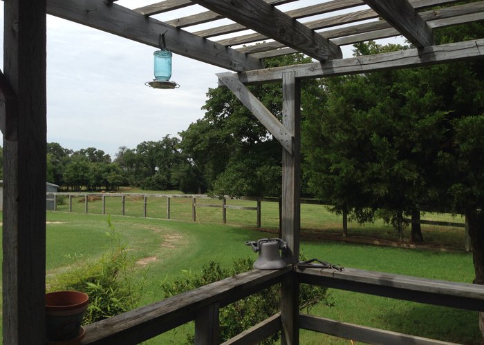 Porch View