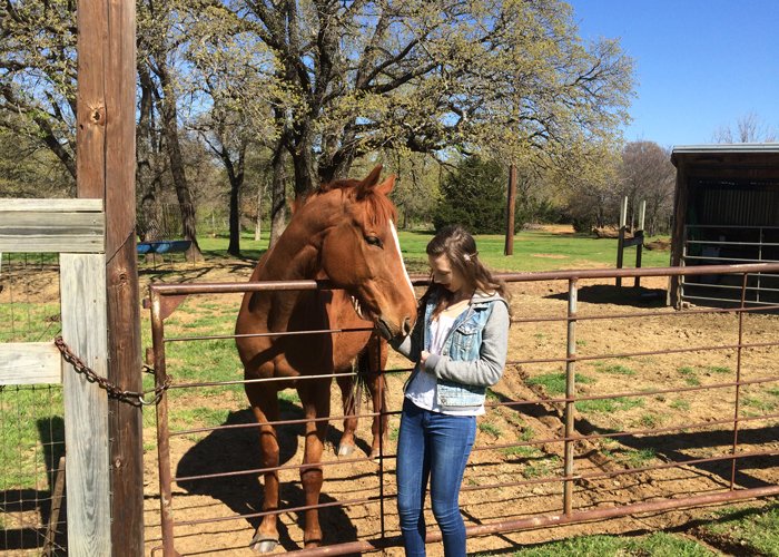 Horse and Girl