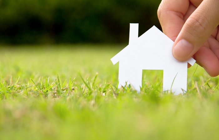 Paper House on Grass