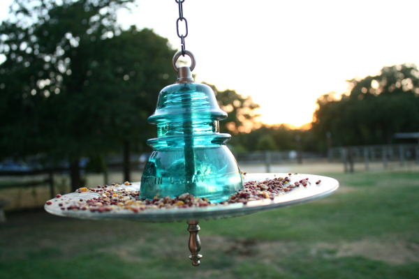 bird feeder